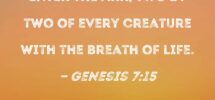 Genesis 7 15 They Came To Noah To Enter The Ark Two By Two Of Every Creature With The Breath Of Life