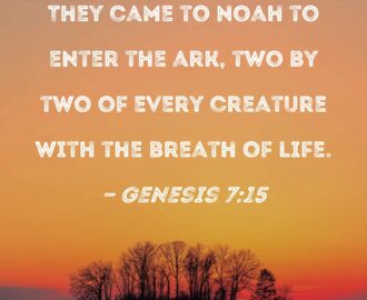 Genesis 7 15 They Came To Noah To Enter The Ark Two By Two Of Every Creature With The Breath Of Life