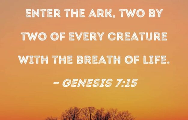 Genesis 7 15 They Came To Noah To Enter The Ark Two By Two Of Every Creature With The Breath Of Life