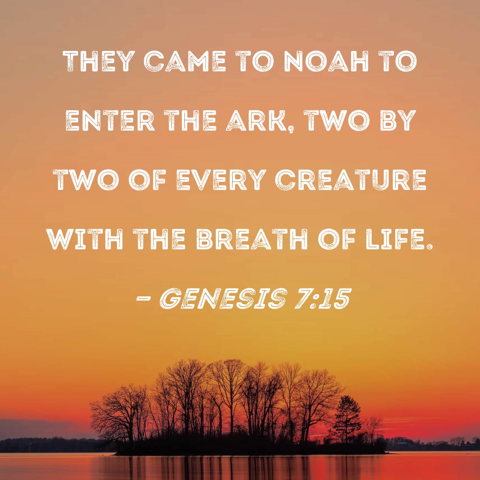 Genesis 7 15 They Came To Noah To Enter The Ark Two By Two Of Every Creature With The Breath Of Life 