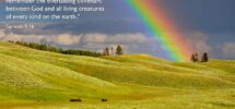 Genesis 9 16 Illustrated After The Rain Comes The Rainbow Heartlight Gallery