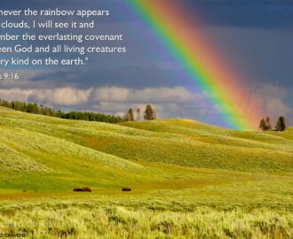 Genesis 9 16 Illustrated After The Rain Comes The Rainbow Heartlight Gallery