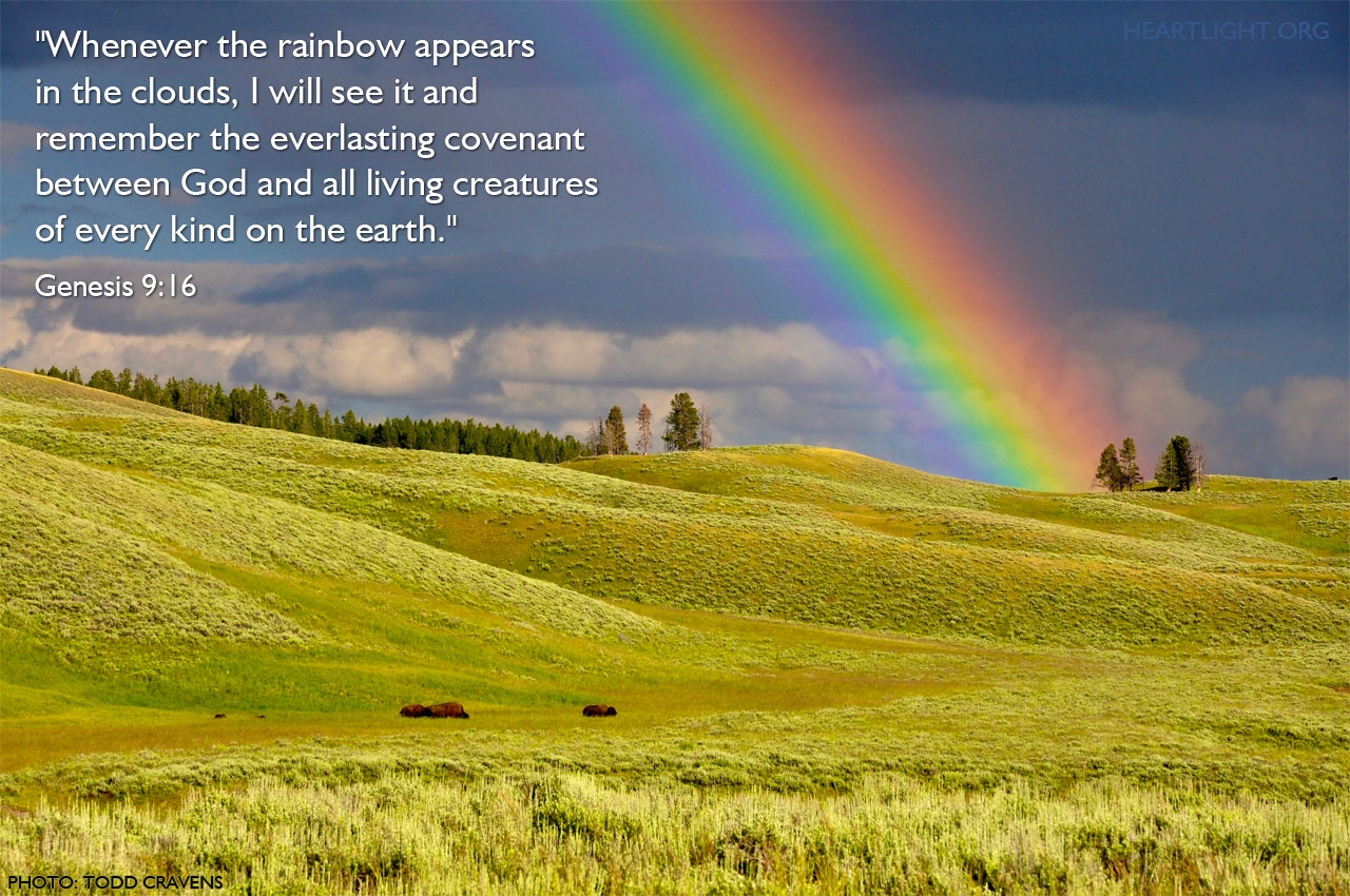 Genesis 9 16 Illustrated After The Rain Comes The Rainbow Heartlight Gallery