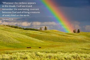 Genesis 9 16 Illustrated After The Rain Comes The Rainbow Heartlight Gallery
