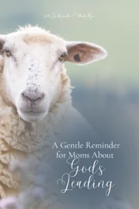 Gentle Reminder For Moms About God s Leading Isaiah 40 11