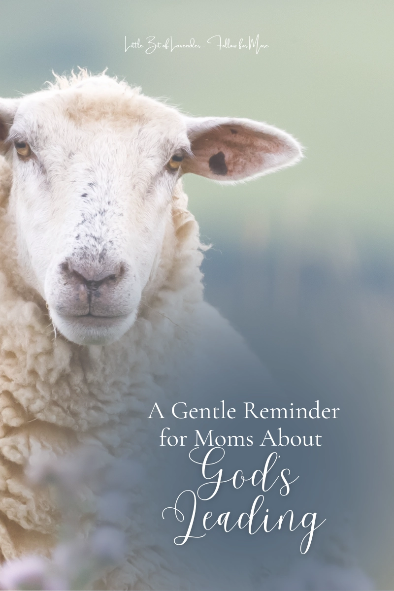 Gentle Reminder For Moms About God s Leading Isaiah 40 11