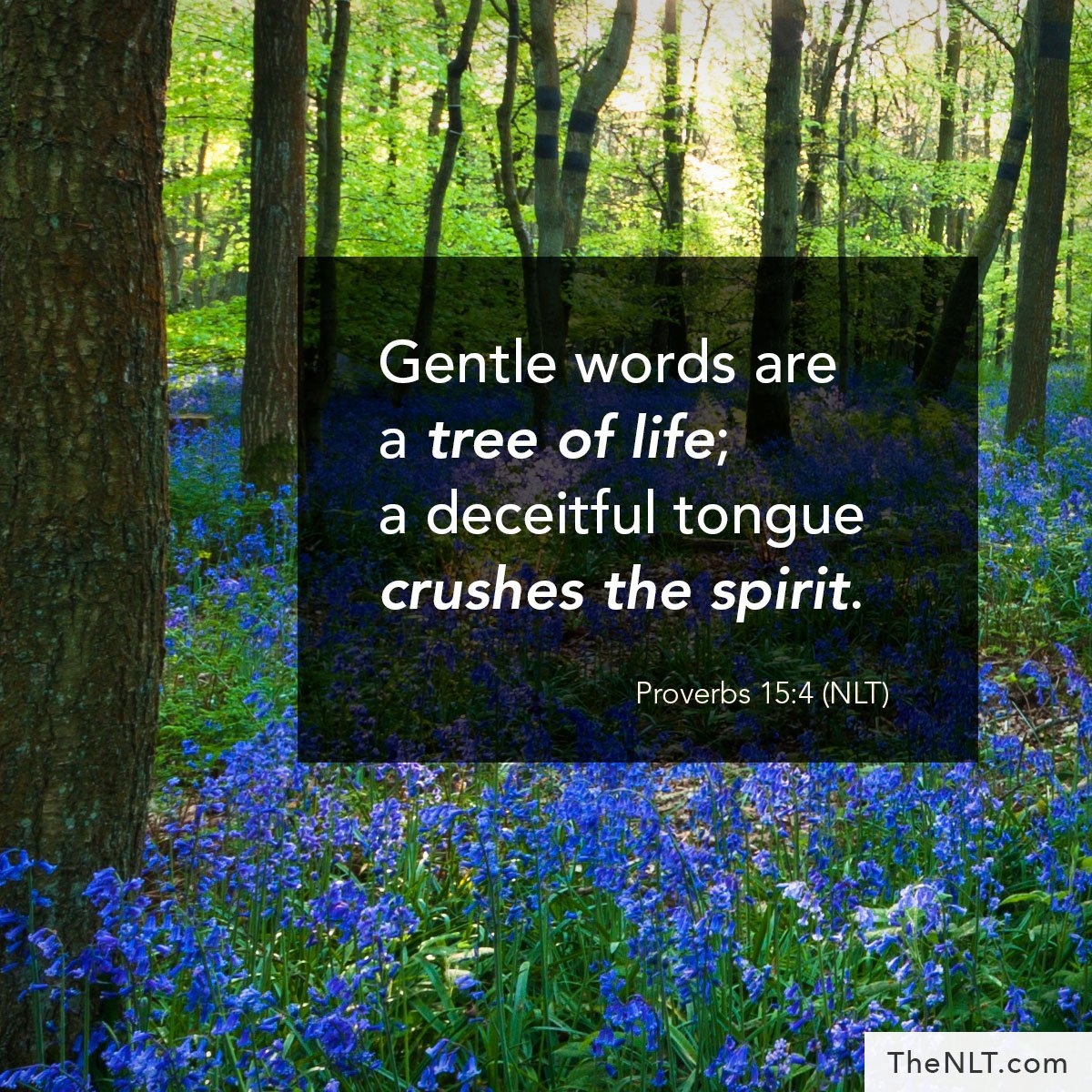 Tree Of Life Quotes Bible