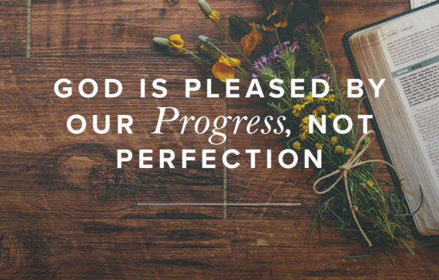 God Is Pleased By Our Progress Not Perfection Revive Our Hearts Blog Revive Our Hearts
