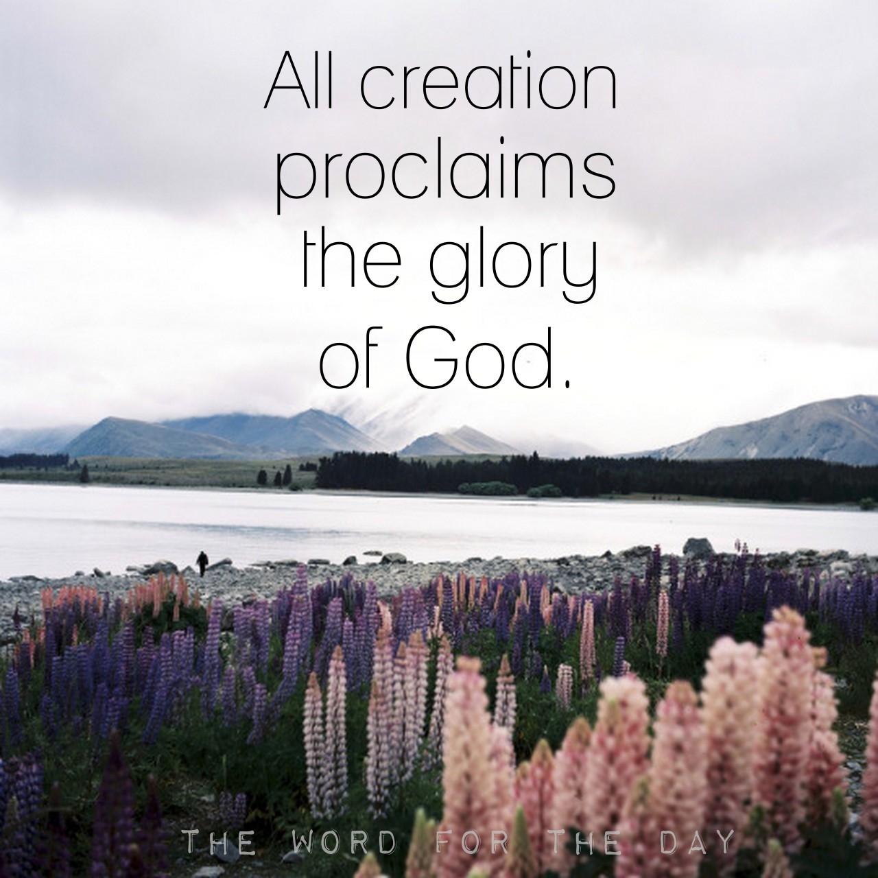 God Tells That We Have No Excuse For Not Believing In Him Because He Has Given Us All The Evidence Of His Existence That We thewordfortheday On Tumblr