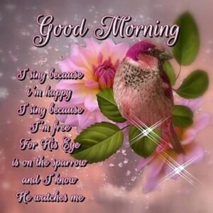 Good Morning Blessings With Bible Verse Pictures Photos And Images For Facebook Tumblr Pinterest And Twitter
