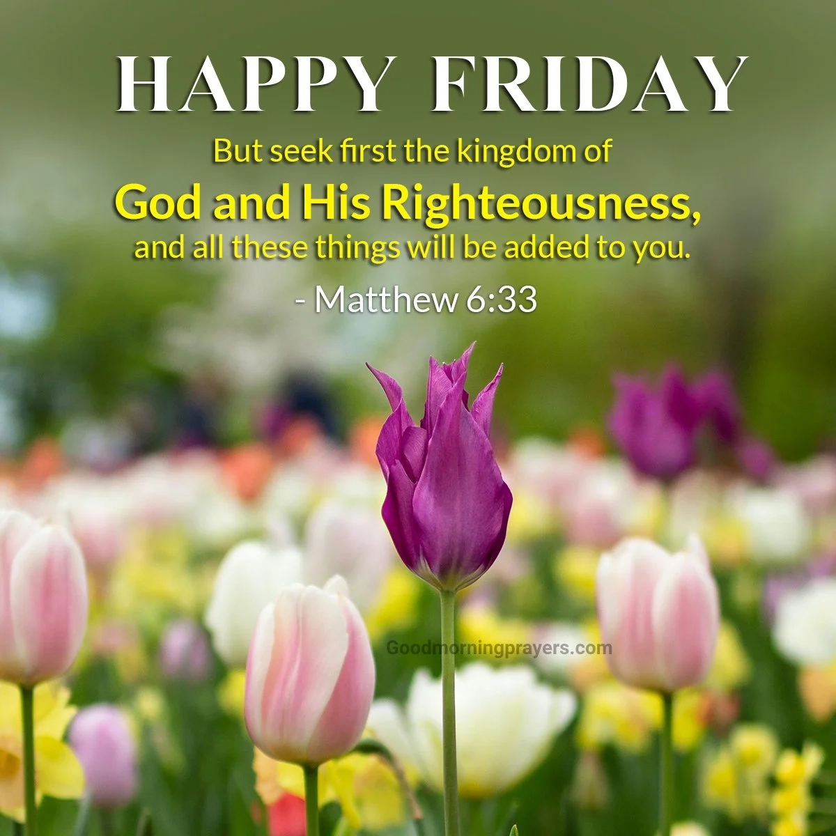 Good Morning Friday Bible Verses Prayers And GIFs For A Blessed Start Good Morning Prayers