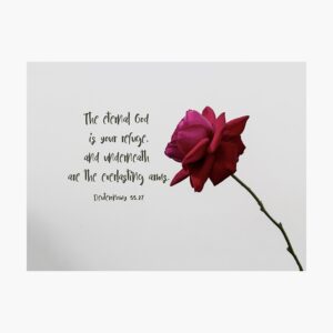 Gorgeous Rose In Bloom With Bible Verse Poster For Sale By Amor vinces Redbubble