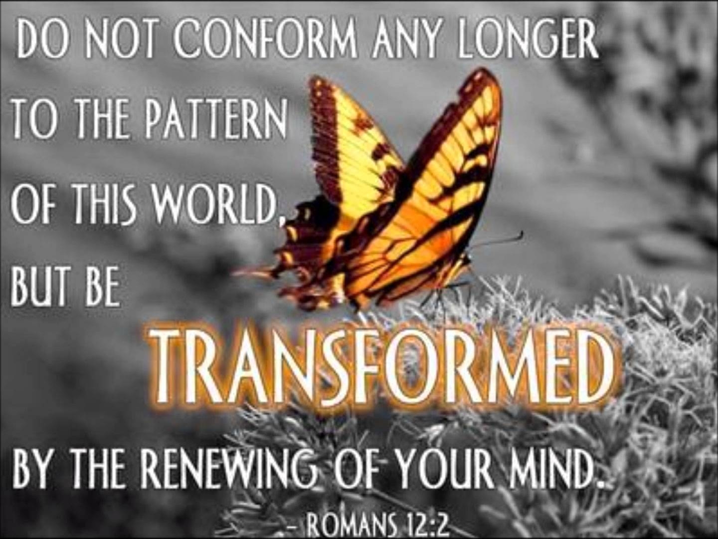 GREAT VERSES OF THE BIBLE Romans 12 1 2 ThePreachersWord
