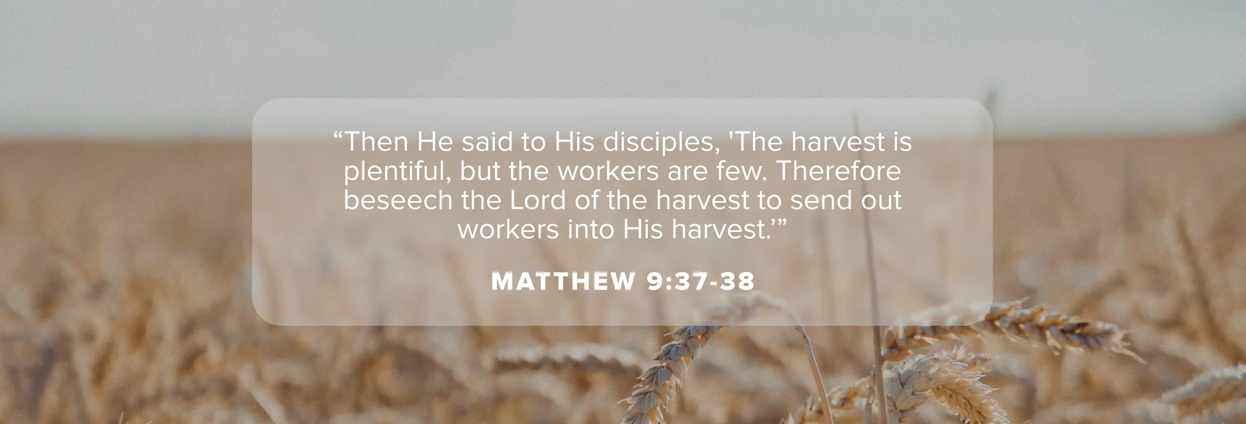 Harvest Bible Verses Find Spiritual Abundance In 2026