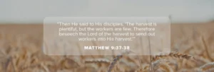 Harvest Bible Verses Find Spiritual Abundance In 2026