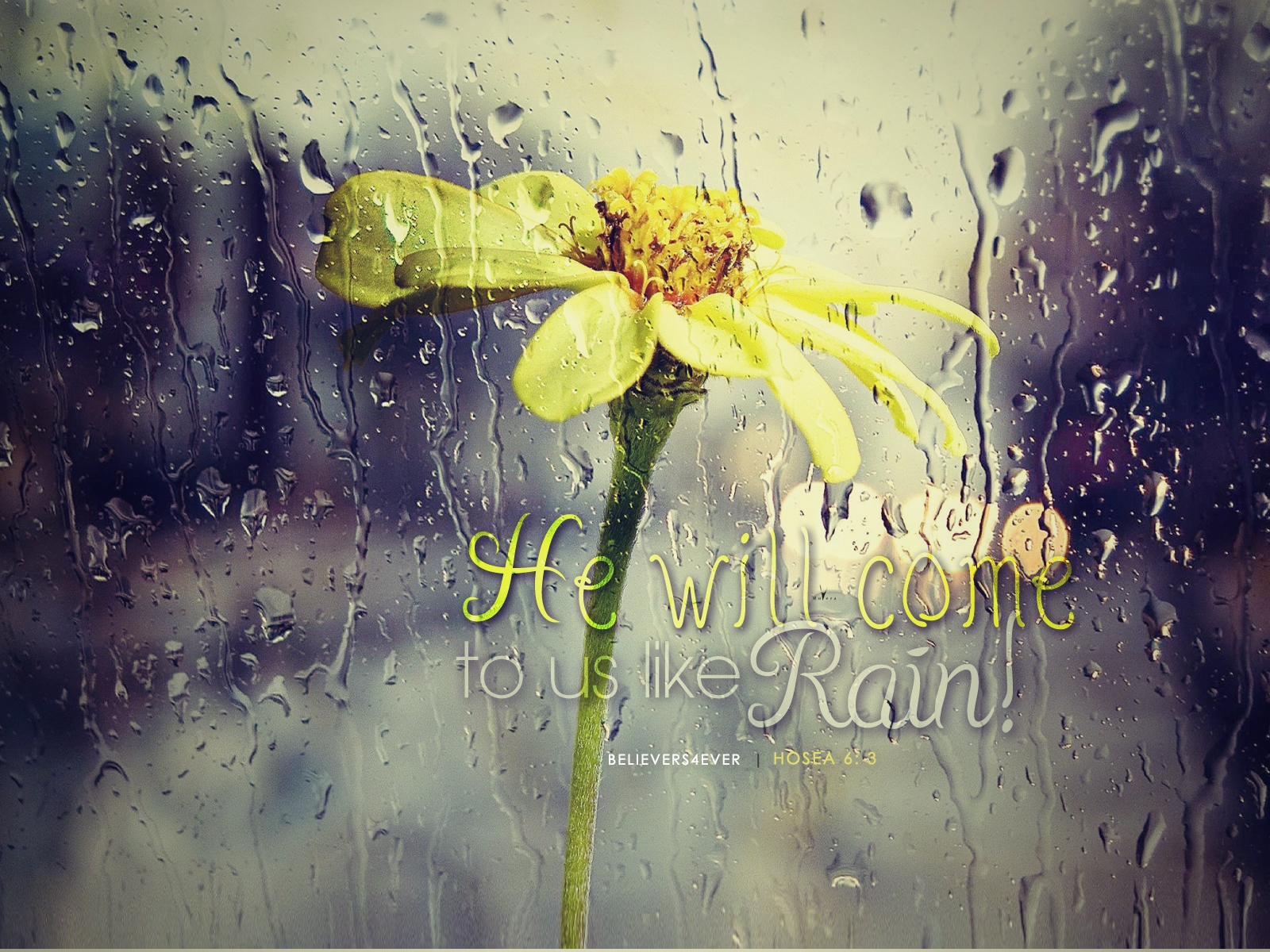 Bible Quotes About Rain