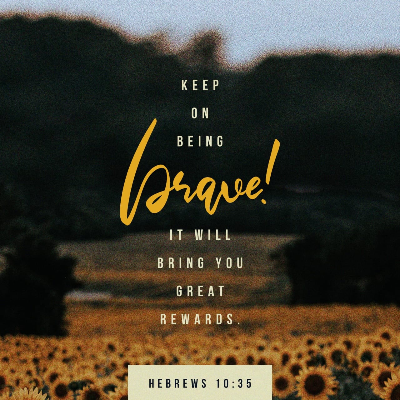 Hebrews 10 35 36 39 TPT So Don t Lose Your Bold Courageous YouVersion