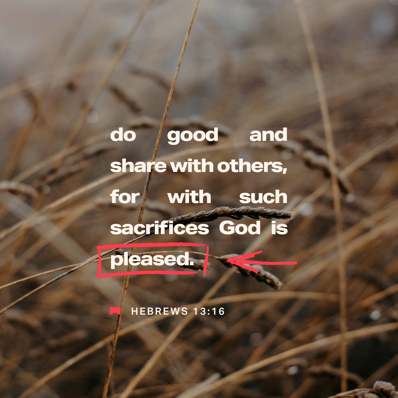 Hebrews 13 15 16 So Let s Go Outside Where Jesus Is Where The Action Is not Trying To Be Privileged Insiders But Taking Our Share In The Abuse Of Jesus This insider World Is Not