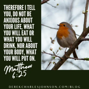 His Eye Is On The Sparrow Matthew 6 25 27 My Favorite Verses