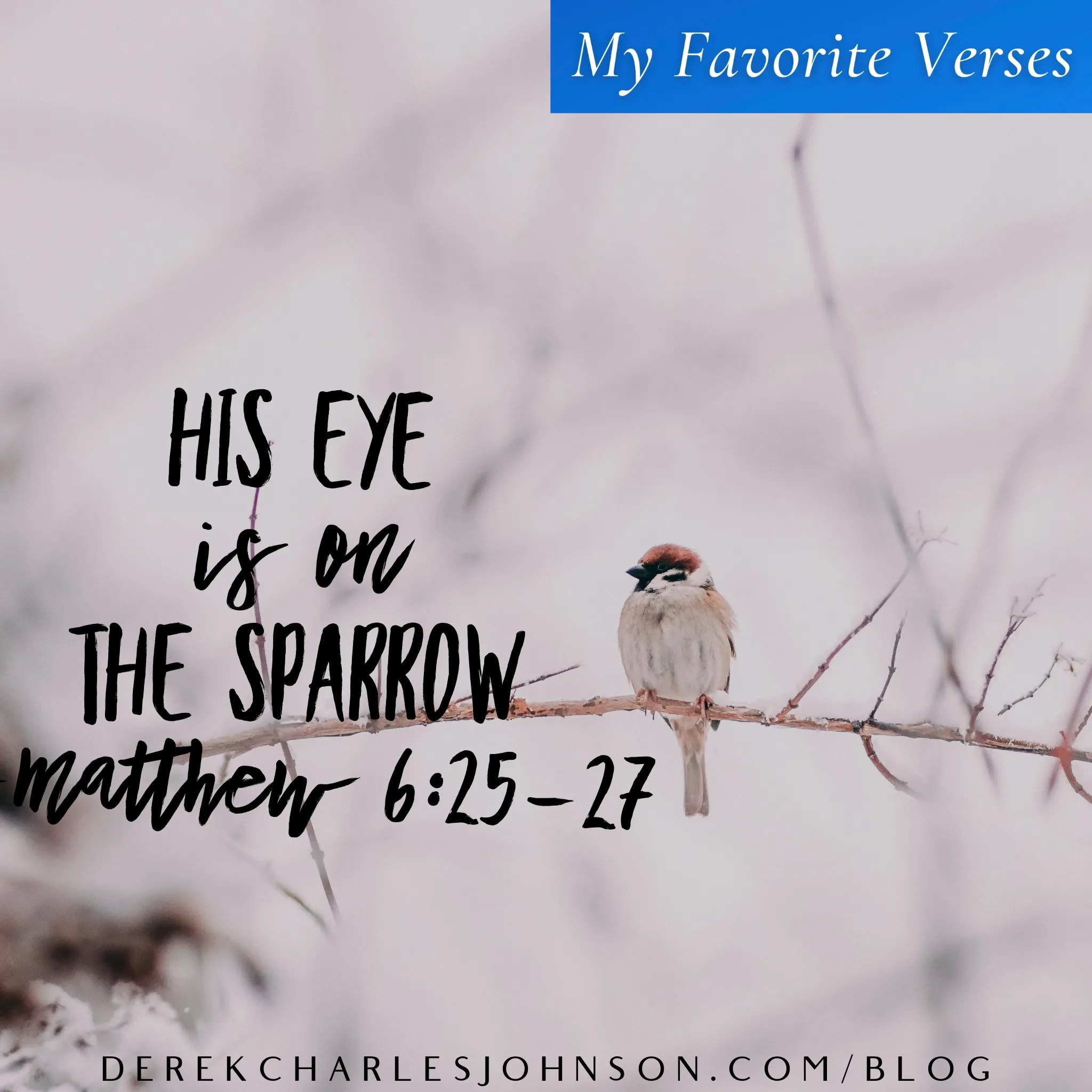 His Eye Is On The Sparrow Matthew 6 25 27 My Favorite Verses 