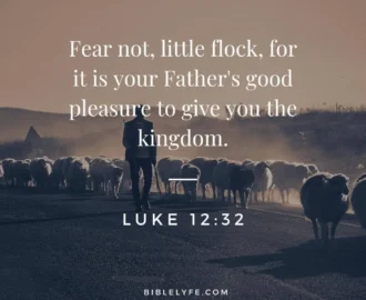 His Son Bible Verses For Fathers And Sons 15 Bible Verses About Father s Powerful Bible Verses For Son