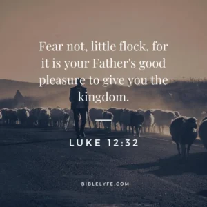 His Son Bible Verses For Fathers And Sons 15 Bible Verses About Father s Powerful Bible Verses For Son
