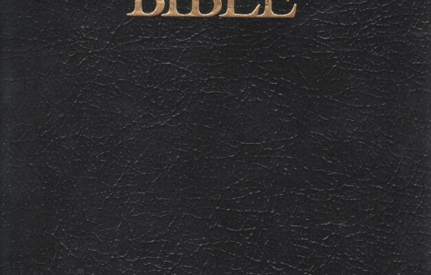 Holy bible cover Unseen Flirtations