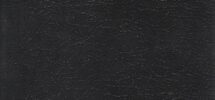 Holy bible cover Unseen Flirtations