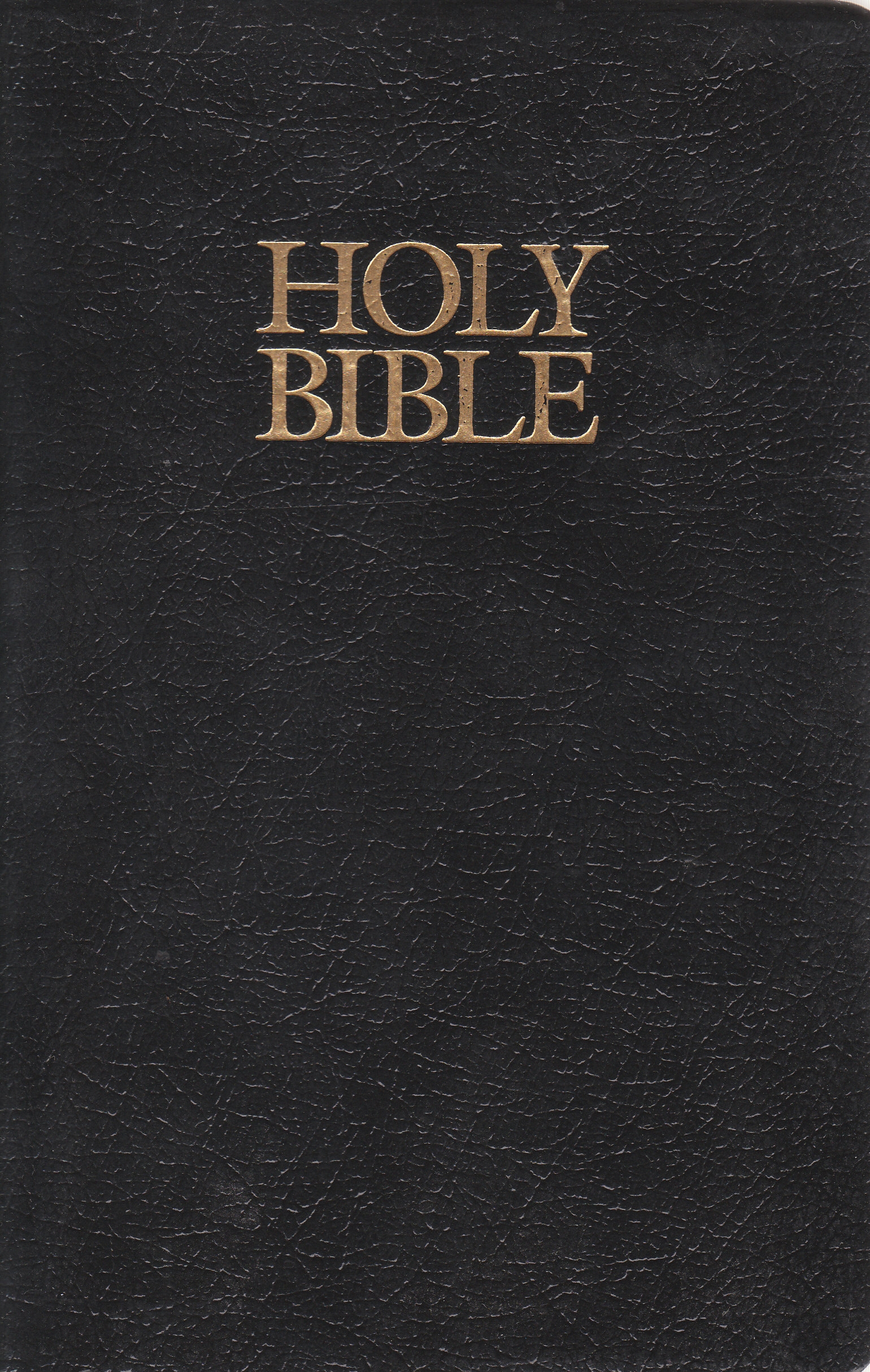 Holy bible cover Unseen Flirtations