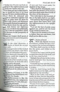 HOLY BIBLE KJV LARGE PRINT