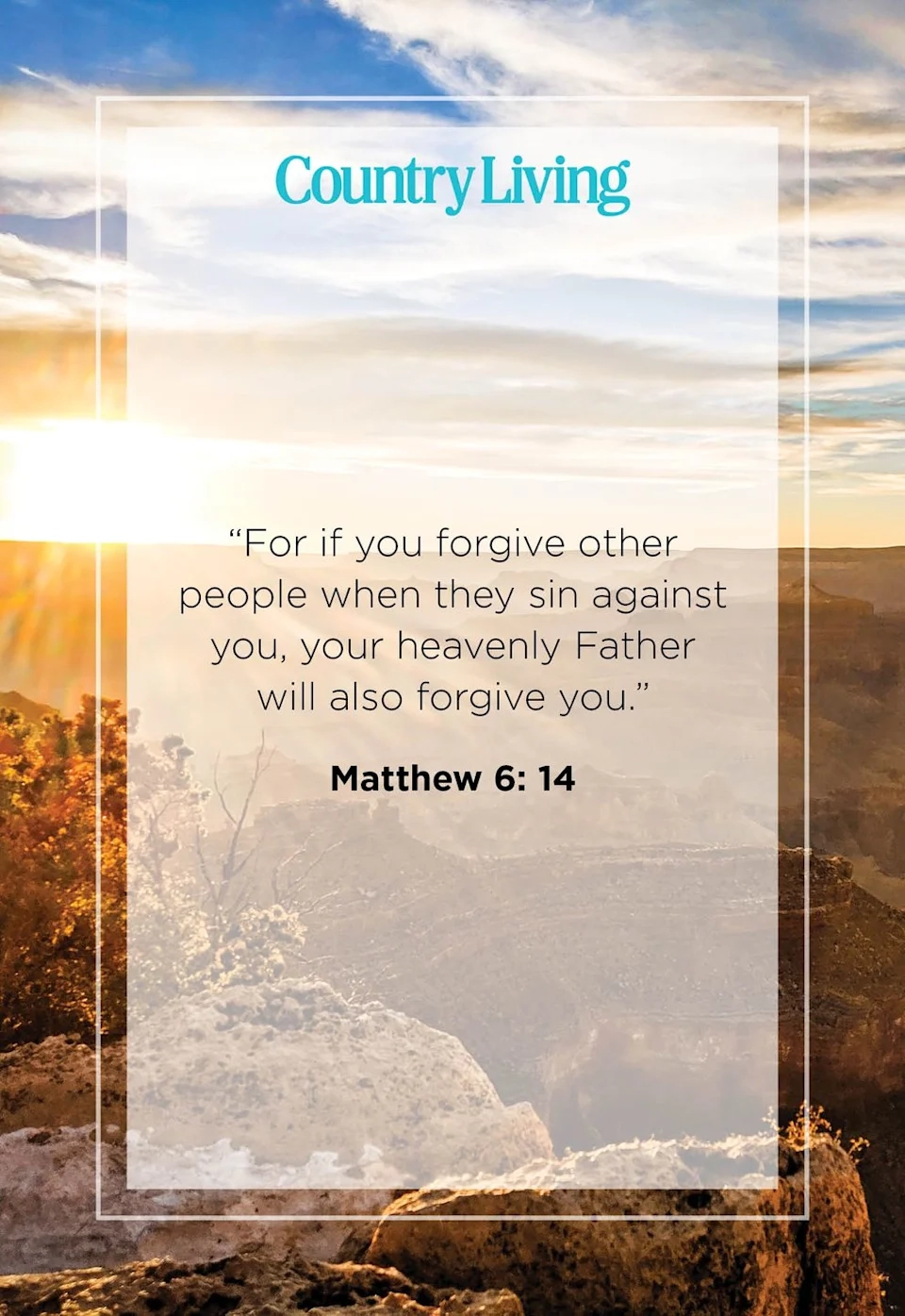 Hopeful Bible Verses About The Power Of Forgiveness