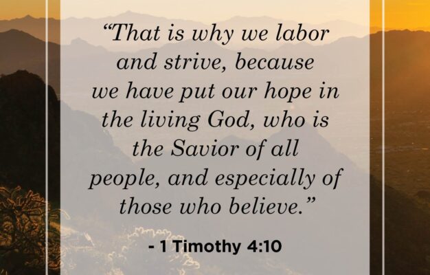 Hopeful Bible Verses For Spring Faith Hope And Love Verses