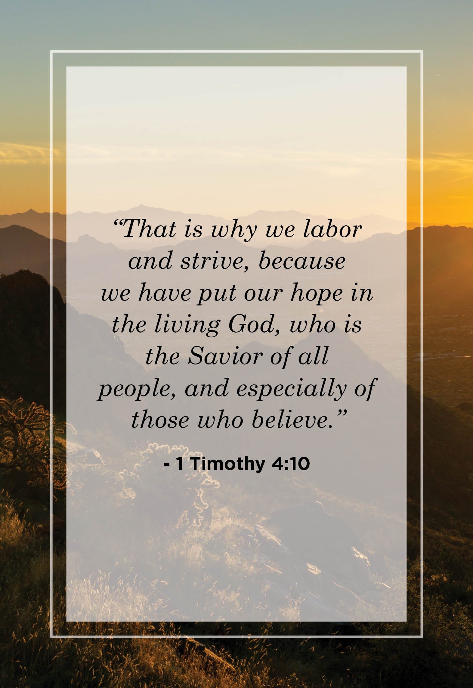 Hopeful Bible Verses For Spring Faith Hope And Love Verses