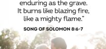Hot Song Of Solomon Wedding Vows Free Shipping 25 Best Wedding Bible Verses That Celebrate Love Marriage And Family