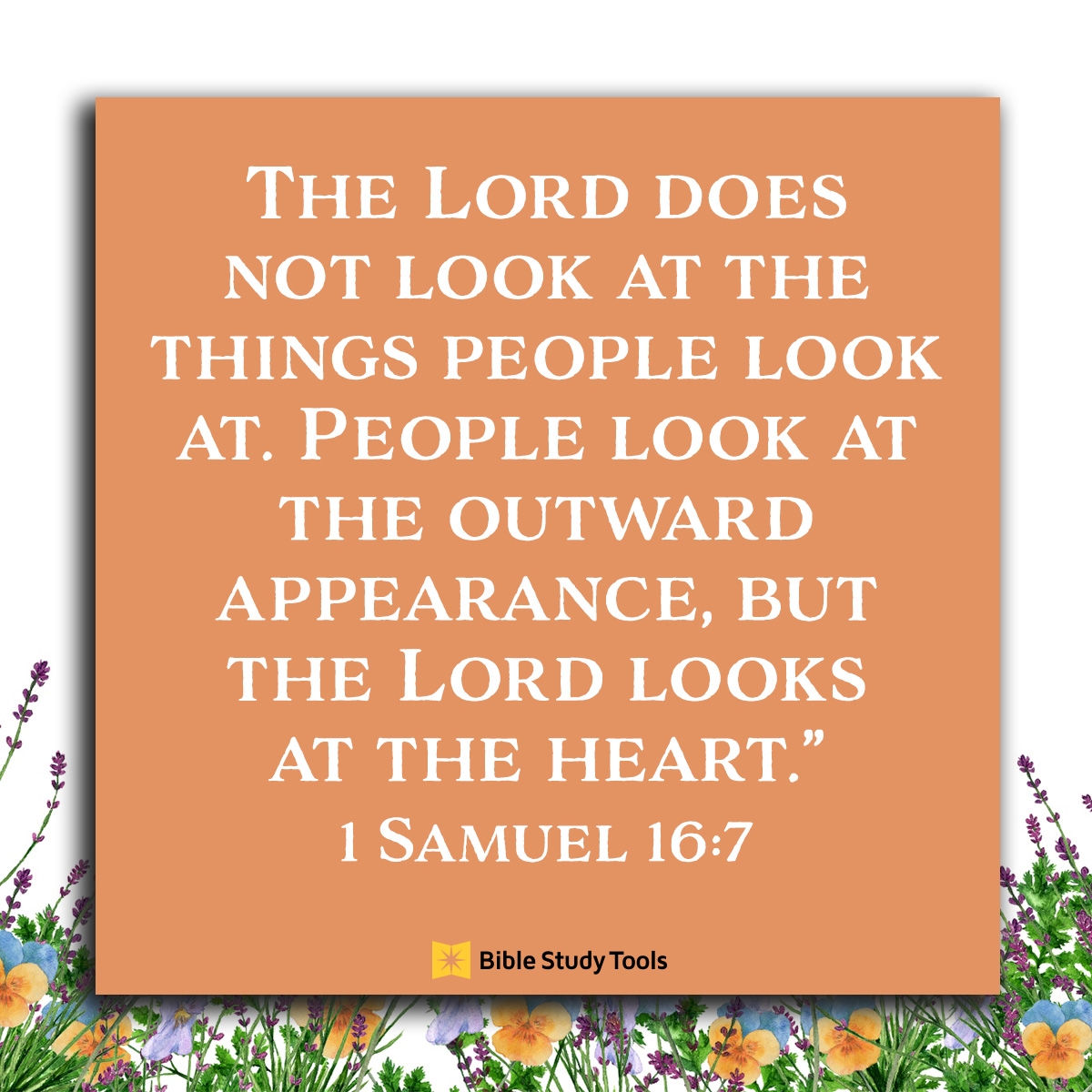 How To Stop Judging By Appearance Alone 1 Samuel 16 7 Your Daily Bible Verse June 3 Your Daily Bible Verse Lightsource Test Show With Tech Team