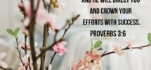 In Everything You Do Put God First And He Will Direct You And Crown Your Efforts With Success Proverbs 3 6 This Scripture thewordfortheday On Tumblr