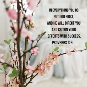 In Everything You Do Put God First And He Will Direct You And Crown Your Efforts With Success Proverbs 3 6 This Scripture thewordfortheday On Tumblr