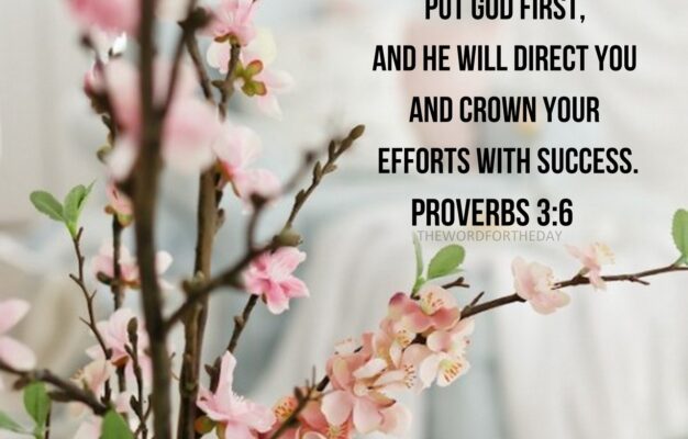In Everything You Do Put God First And He Will Direct You And Crown Your Efforts With Success Proverbs 3 6 This Scripture thewordfortheday On Tumblr