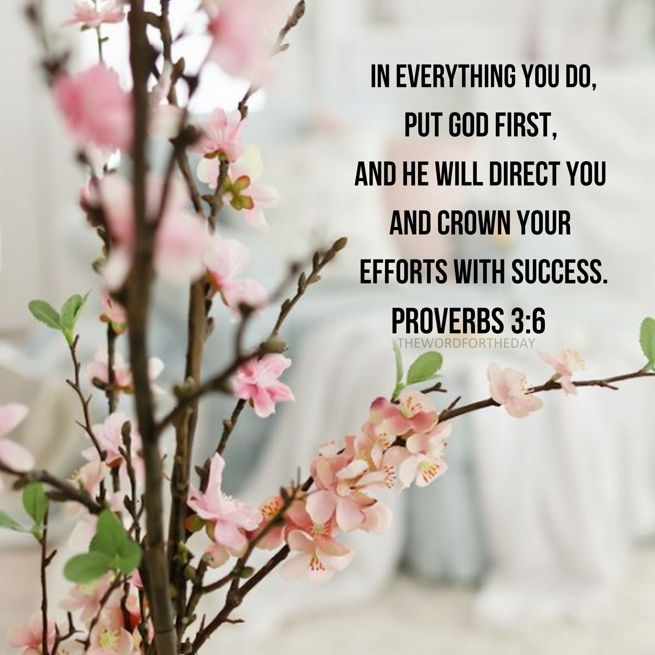 In Everything You Do Put God First And He Will Direct You And Crown Your Efforts With Success Proverbs 3 6 This Scripture thewordfortheday On Tumblr
