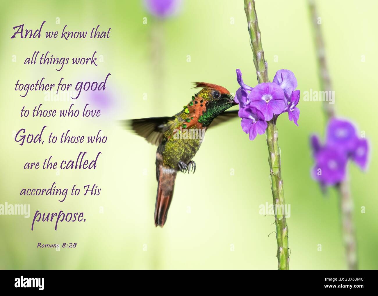 Inspirational Verses Hi res Stock Photography And Images Alamy
