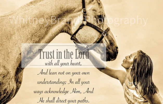 Inspiring Bible Verse Horse Equestrian Gift For Etsy