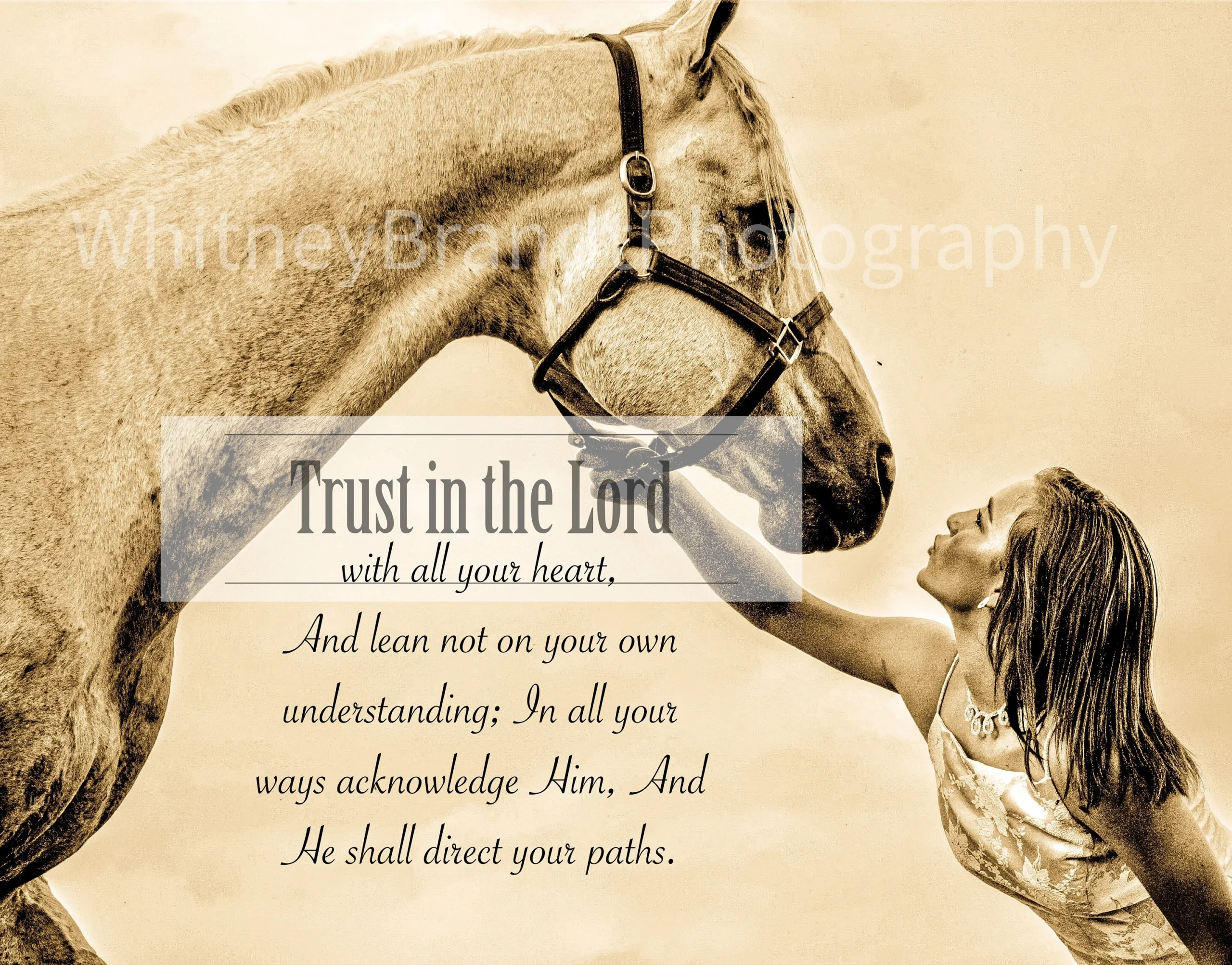 Inspiring Bible Verse Horse Equestrian Gift For Etsy