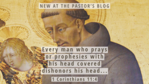 Is A Woman s Hair The Headcovering Of 1 Cor 11 Trinity Bible Chapel