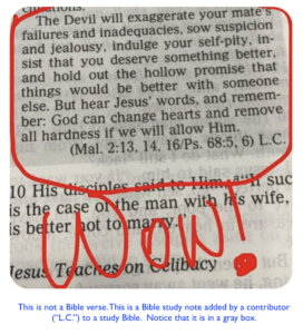 Is The Devil Will Exaggerate Your Mate s Failures A Real Bible Verse Life Saving Divorce