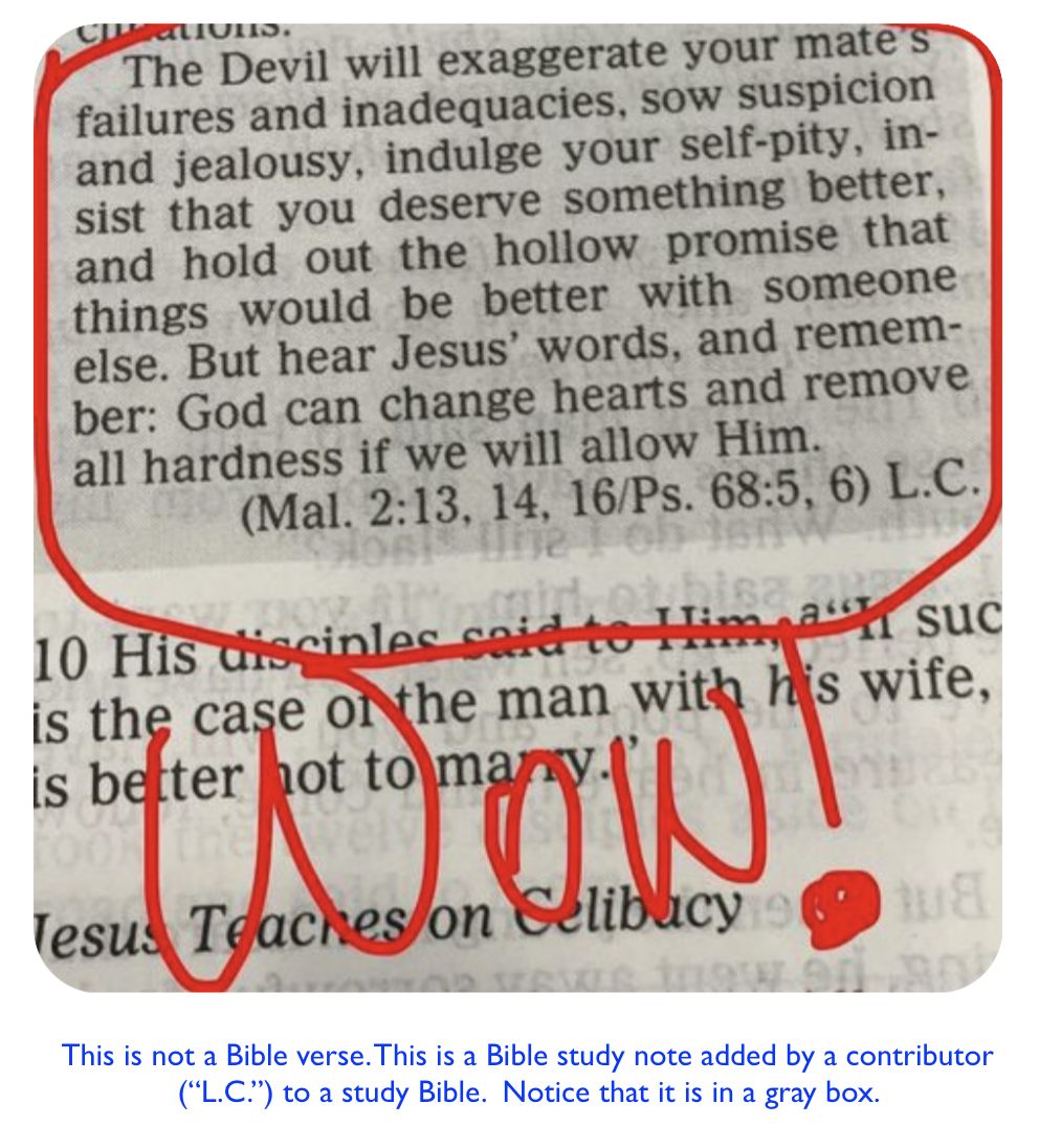 Bible Quotes Devil