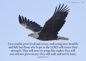 Isaiah 40 30 31 Illustrated They Will Soar On Wings Like Eagles Heartlight Gallery