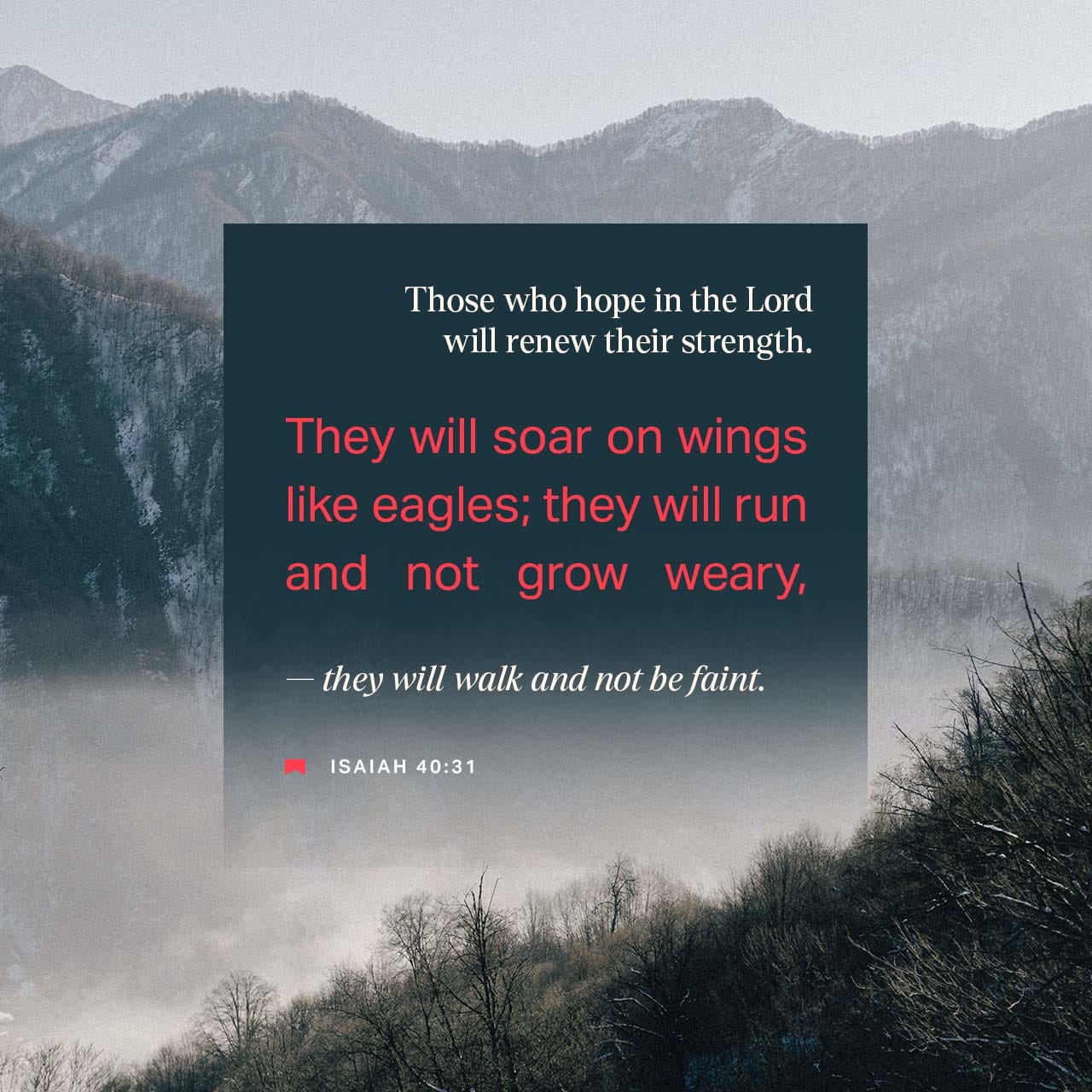 Isaiah 40 31 Why Would You Ever Complain O Jacob Or Whine Israel Saying GOD Has Lost Track Of Me He Doesn t Care What Happens To Me Don t You Know Anything Haven t You