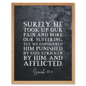 Isaiah 53 4 He Took Our Pain And Bore Our Suffering Christian Bible Verse Quote Scripture Typography Art Print Framed Poster Wall Decor 12x16 Inch Walmart