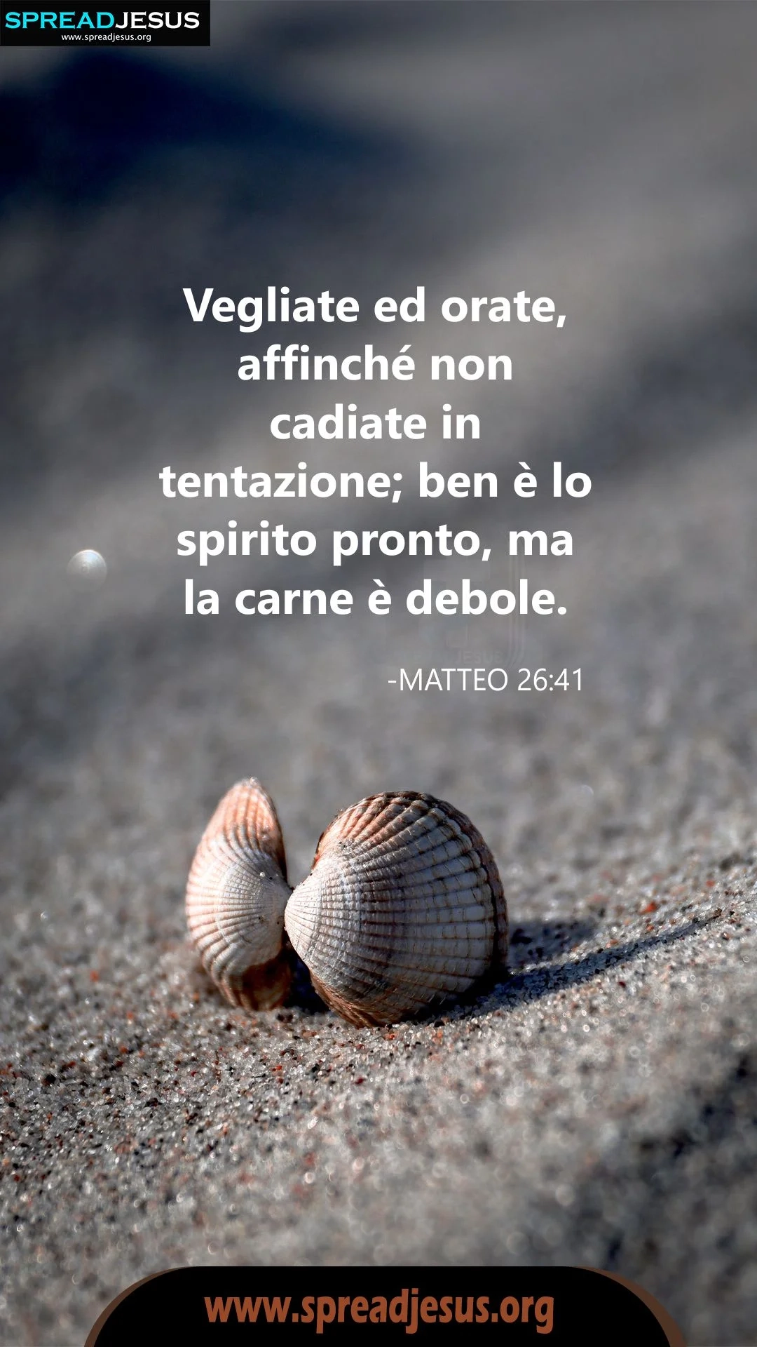 Italian Christian Bible WhatsApp Status Matthew 26 41 Daily Bible Readings Today Gospel Readings Bible Quotes WhatsApp Status