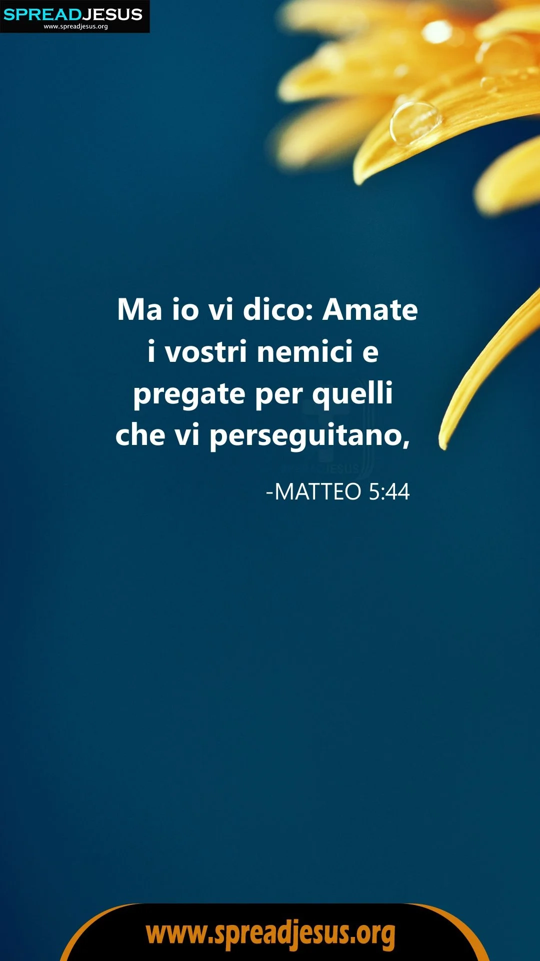 Italian Christian Bible WhatsApp Status Matthew 5 44 Daily Bible Readings Today Gospel Readings Bible Quotes WhatsApp Status